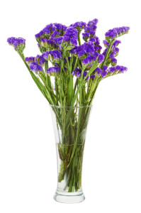 Bouquet from statice flowers arrangement centerpiece in vase iso